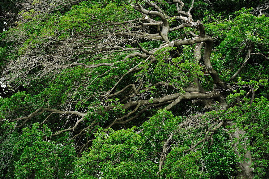 f:id:banriman:20130601212509j:image