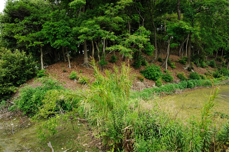 f:id:banriman:20130601212510j:image