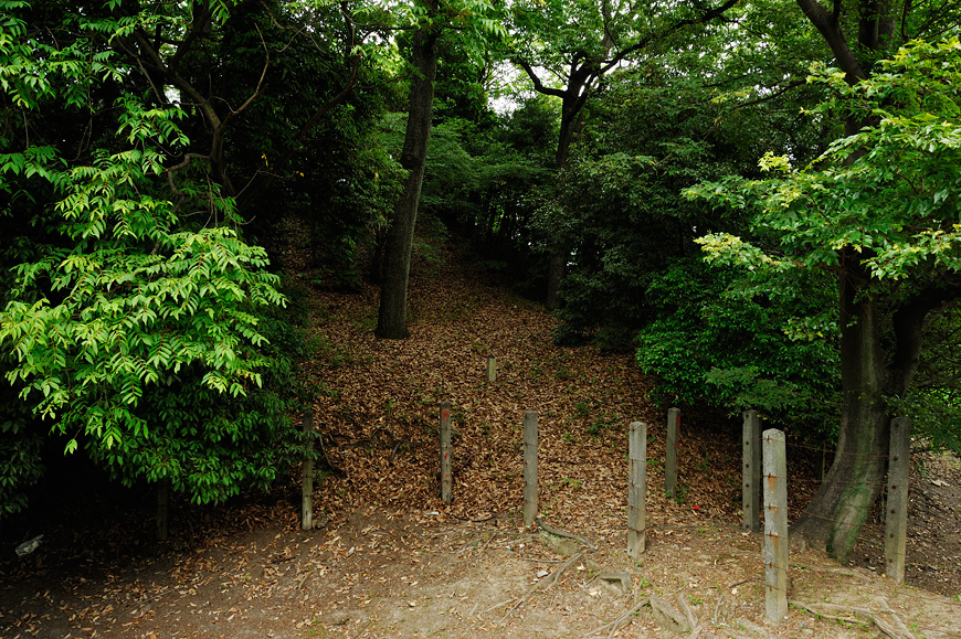 f:id:banriman:20130601212512j:image