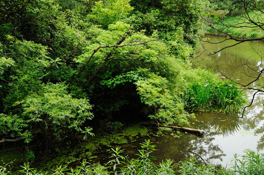 f:id:banriman:20130601212518j:image