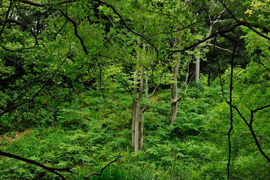 f:id:banriman:20130601212519j:image