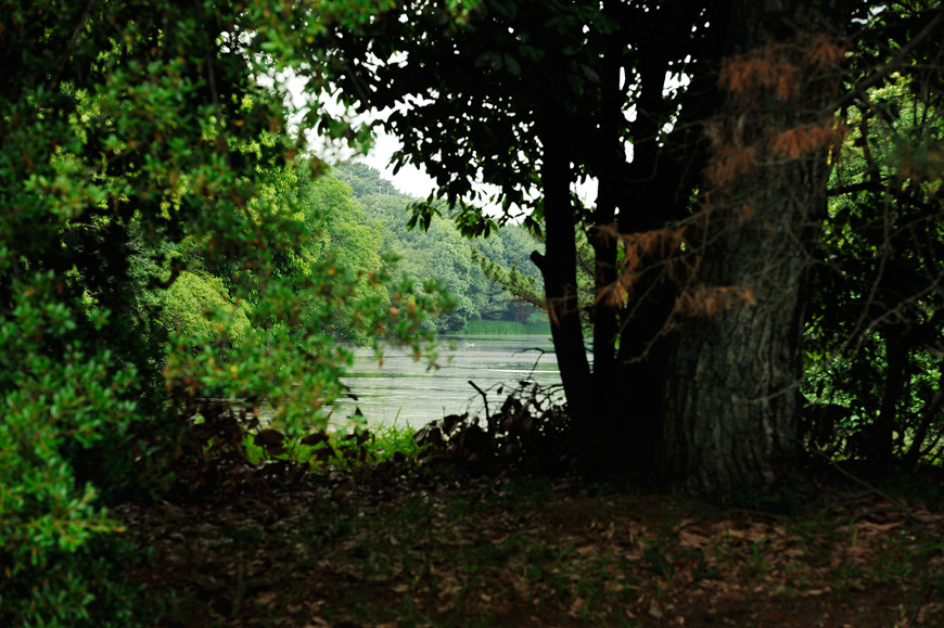 f:id:banriman:20130601212524j:image