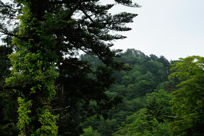 f:id:banriman:20130623182943j:image