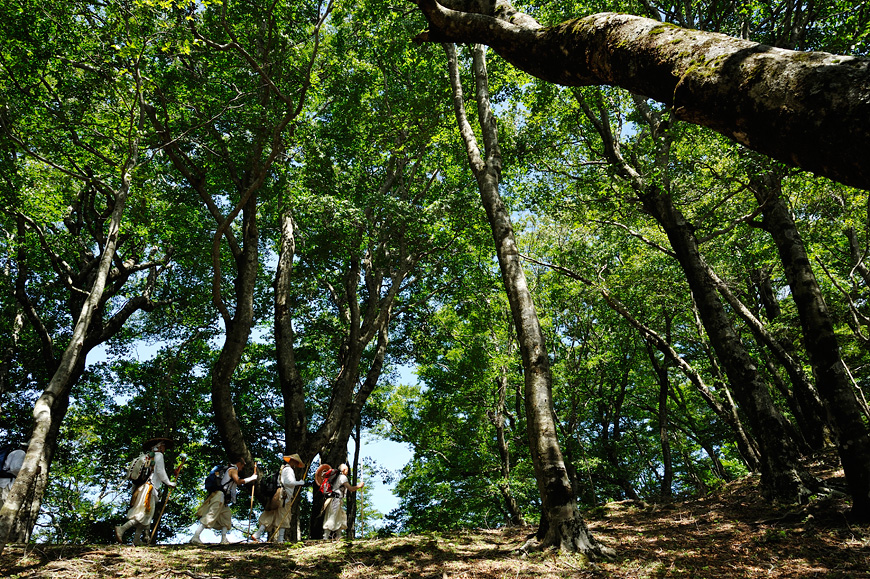 f:id:banriman:20130715223348j:image