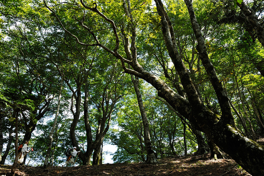f:id:banriman:20130923232607j:image