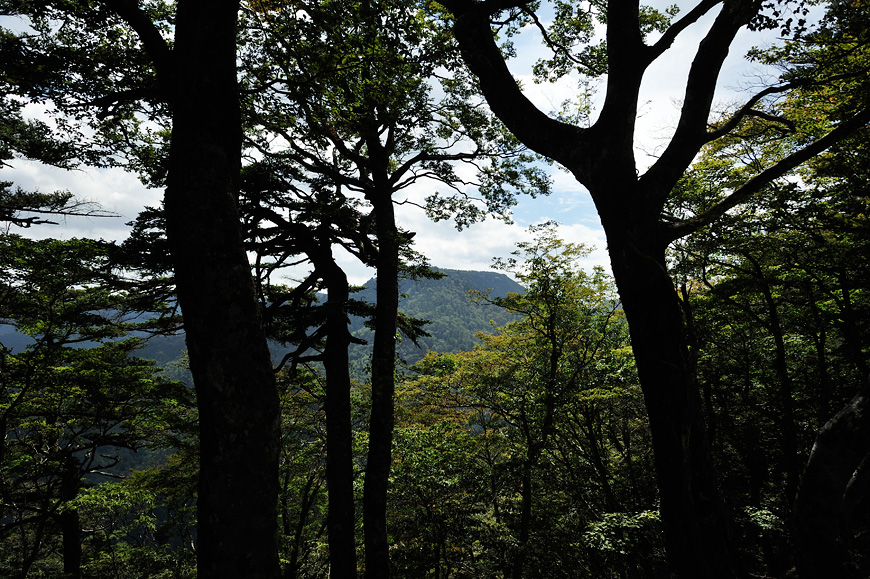 f:id:banriman:20130923232608j:image