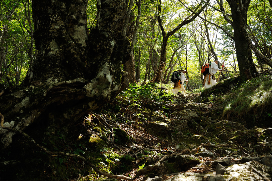 f:id:banriman:20130923232612j:image