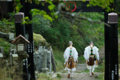 [修験道][大峰山][shugendo][山伏]