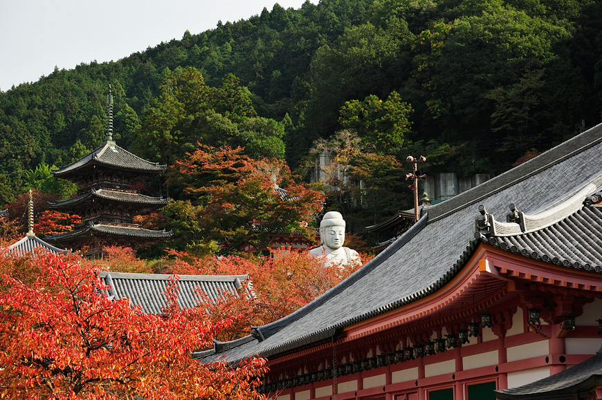 f:id:banriman:20131109185703j:image