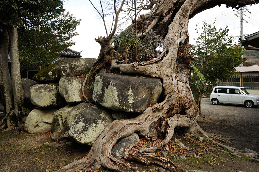 f:id:banriman:20140209221138j:image