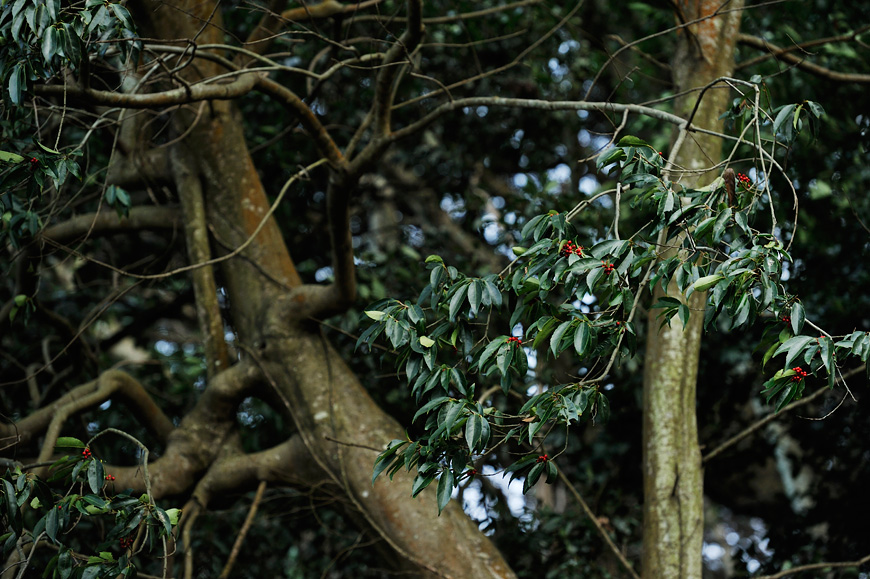 f:id:banriman:20140209221150j:image