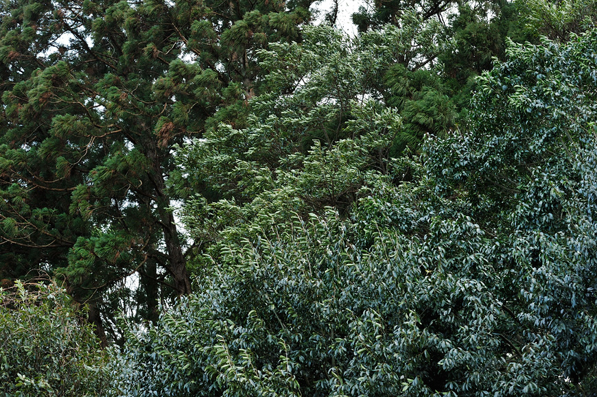 f:id:banriman:20140209221151j:image