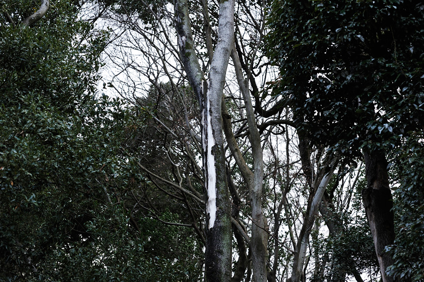 f:id:banriman:20140209221152j:image