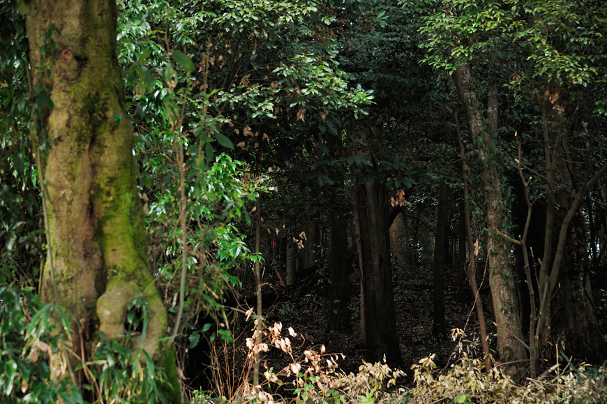f:id:banriman:20140209221155j:image