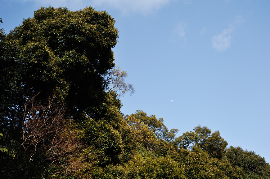 f:id:banriman:20140209221158j:image