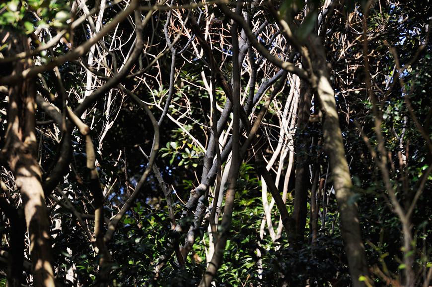 f:id:banriman:20140209221200j:image