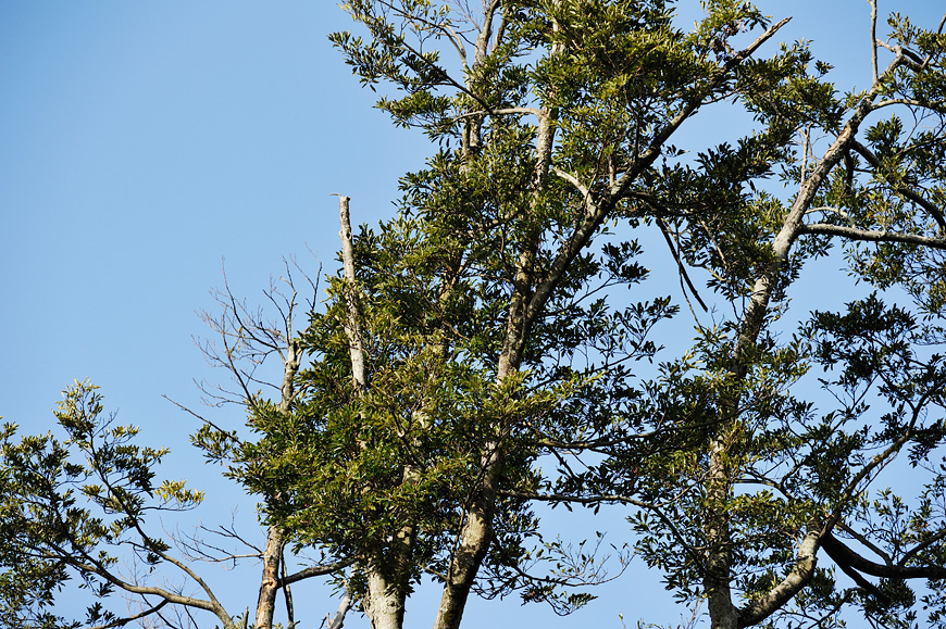 f:id:banriman:20140209221201j:image