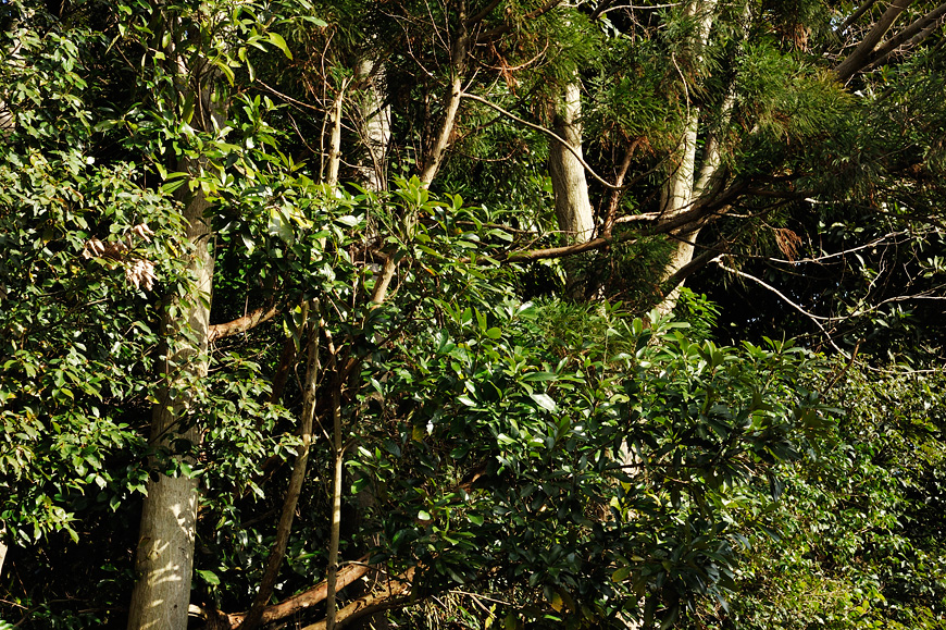 f:id:banriman:20140209221203j:image