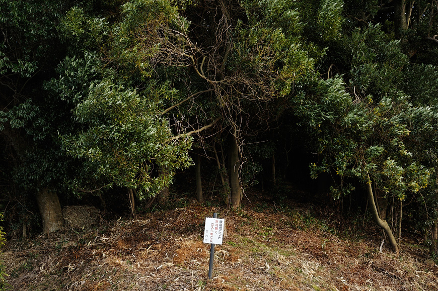 f:id:banriman:20140209221204j:image