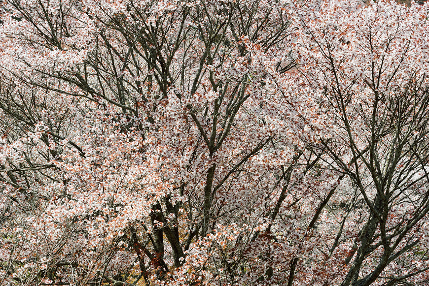 f:id:banriman:20140416140715j:image