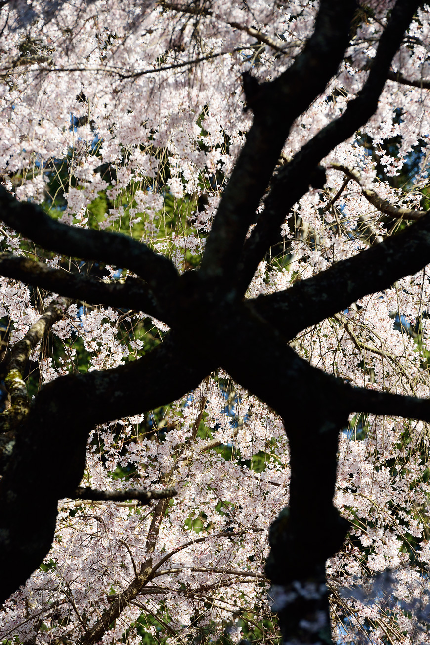 f:id:banriman:20140416140717j:image