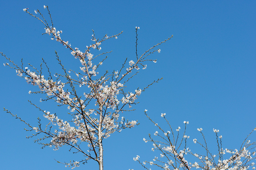 f:id:banriman:20140416140718j:image