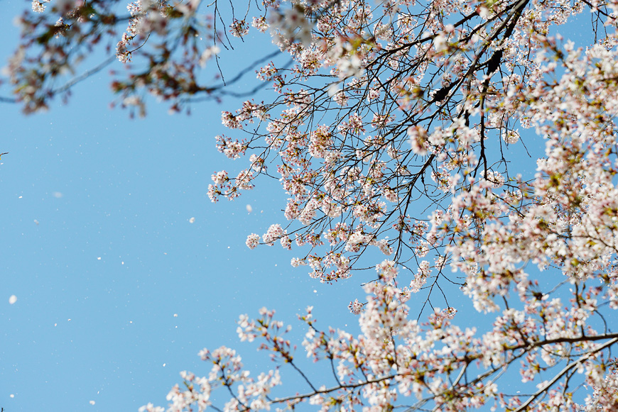 f:id:banriman:20140416140719j:image