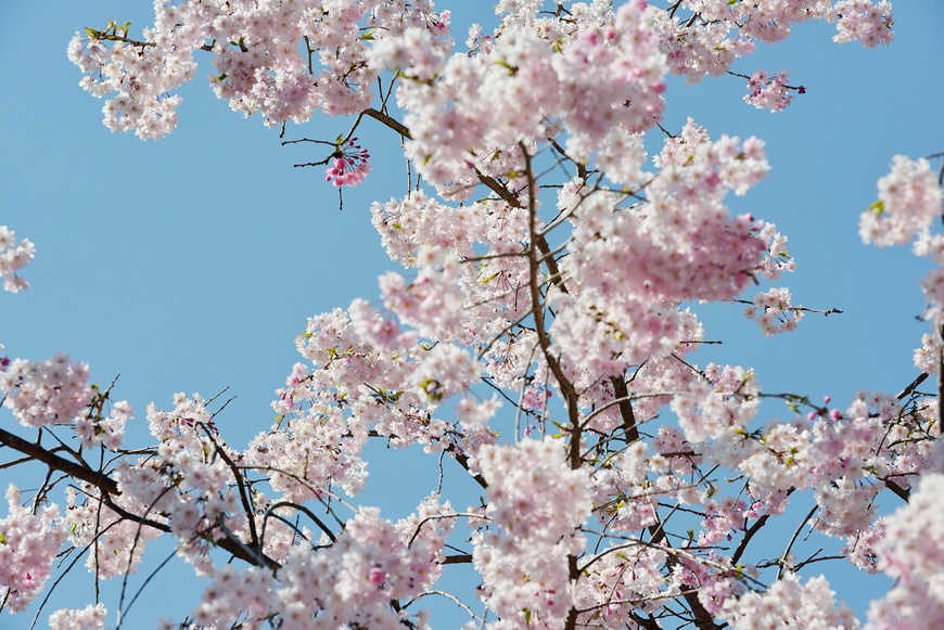 f:id:banriman:20140416140720j:image