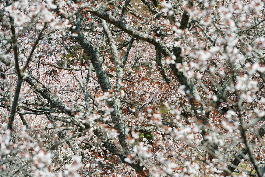 f:id:banriman:20140416140722j:image