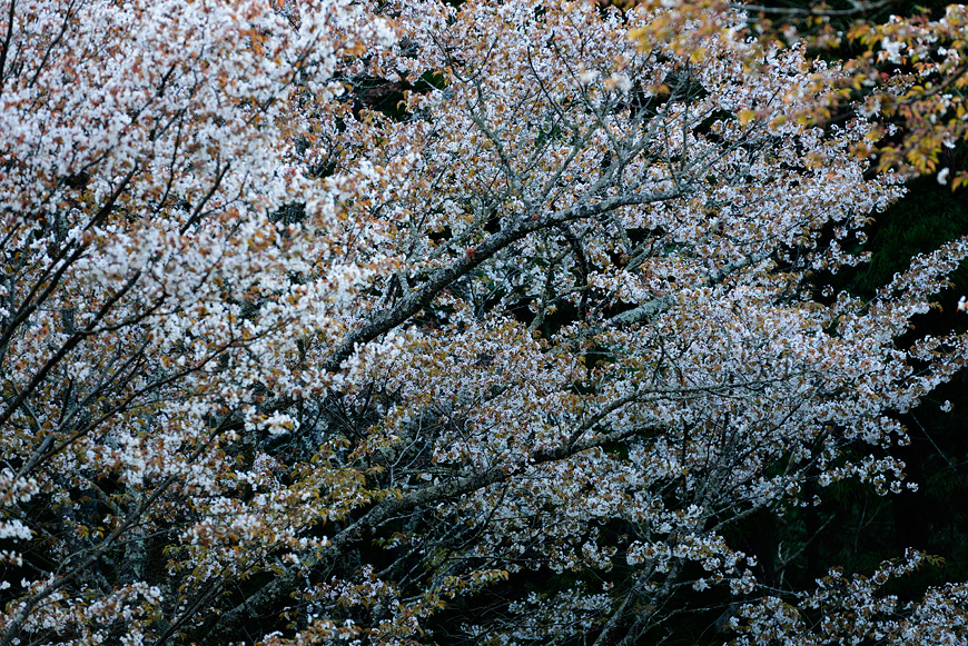 f:id:banriman:20140416140723j:image