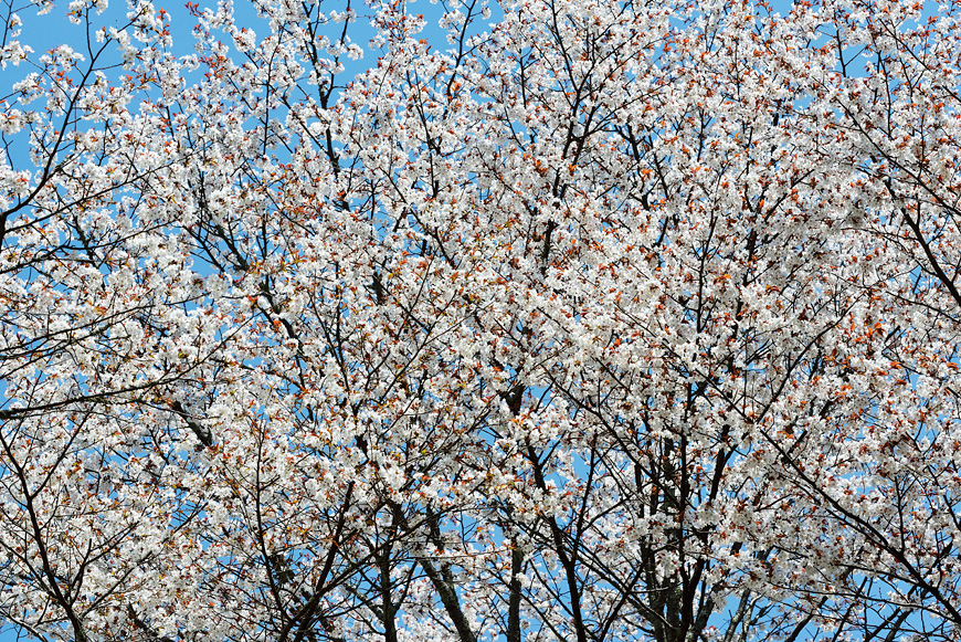 f:id:banriman:20140416140724j:image