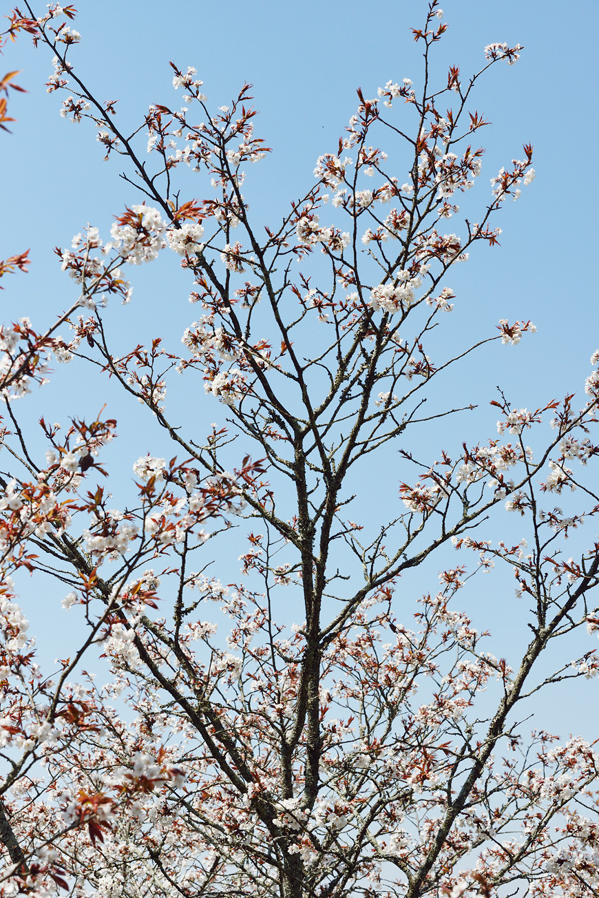 f:id:banriman:20140416140726j:image