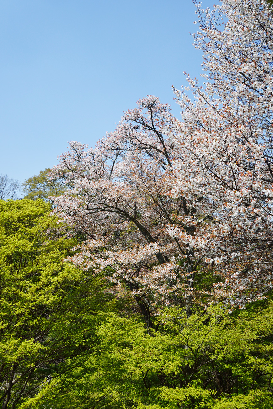 f:id:banriman:20140416140727j:image
