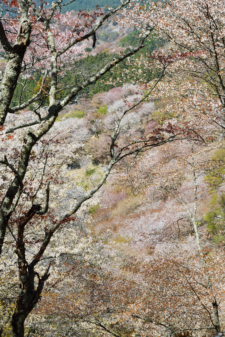 f:id:banriman:20140416140728j:image