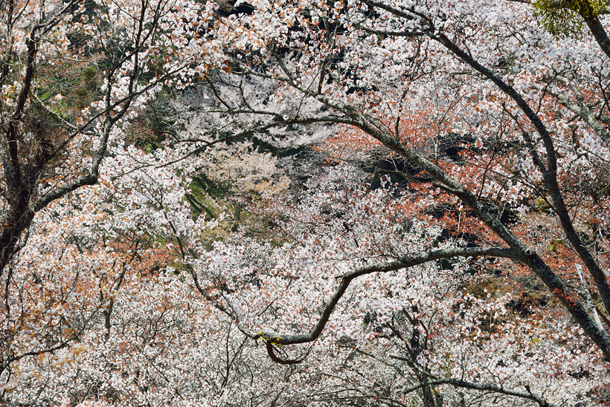 f:id:banriman:20140416140729j:image