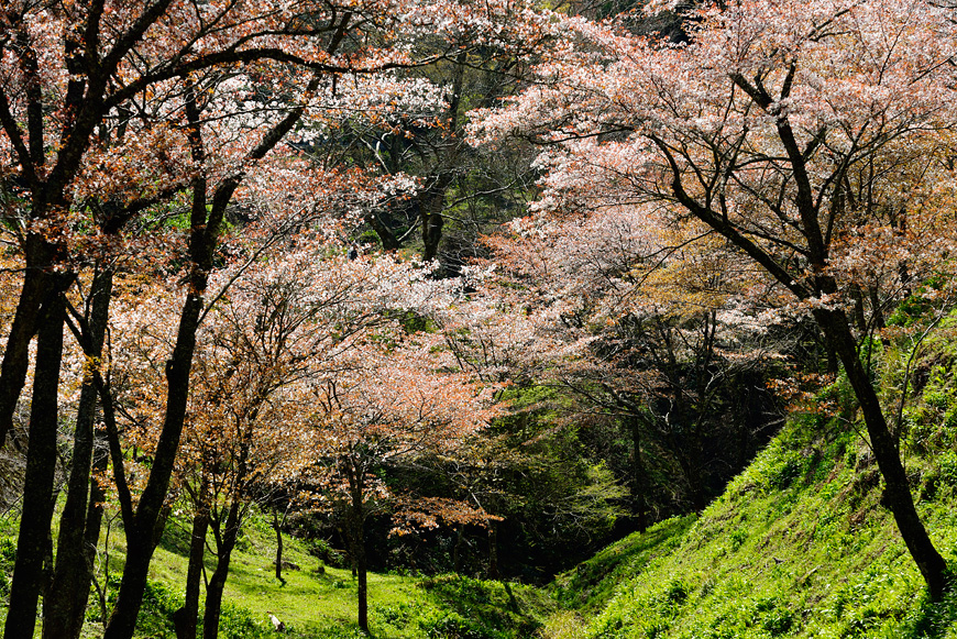 f:id:banriman:20140416140730j:image
