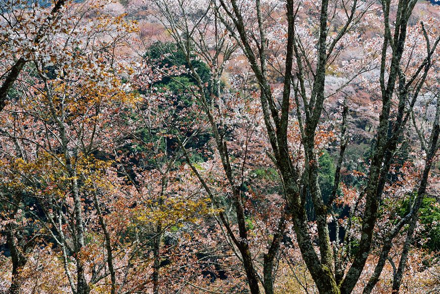 f:id:banriman:20140416140731j:image