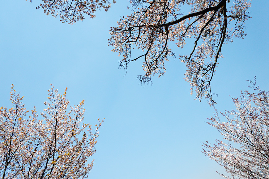 f:id:banriman:20140416140732j:image