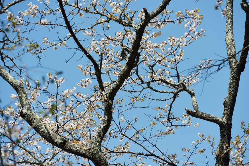 f:id:banriman:20140416140733j:image