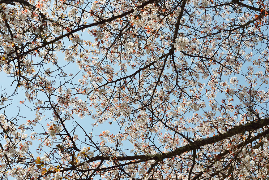 f:id:banriman:20140416140734j:image