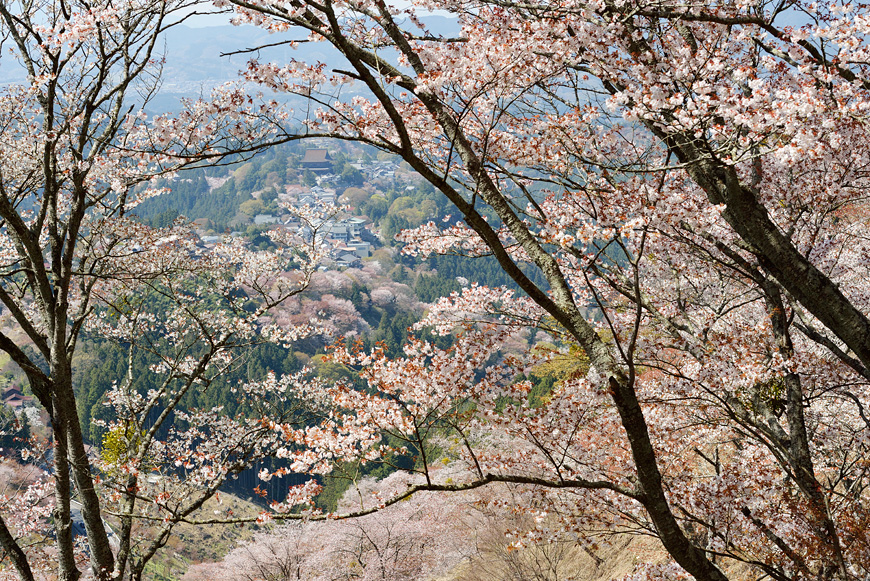 f:id:banriman:20140416140735j:image