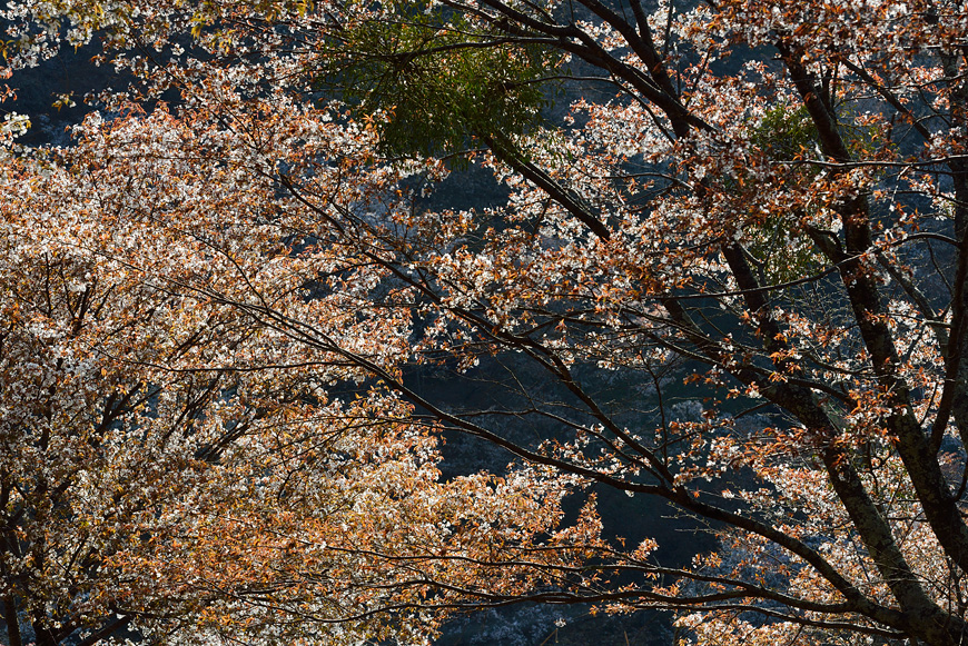 f:id:banriman:20140416140736j:image
