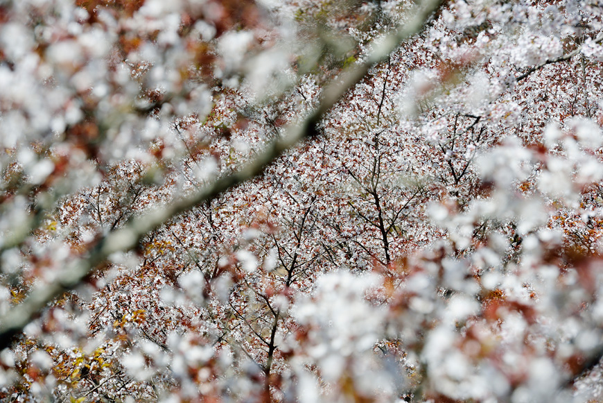 f:id:banriman:20140416140737j:image