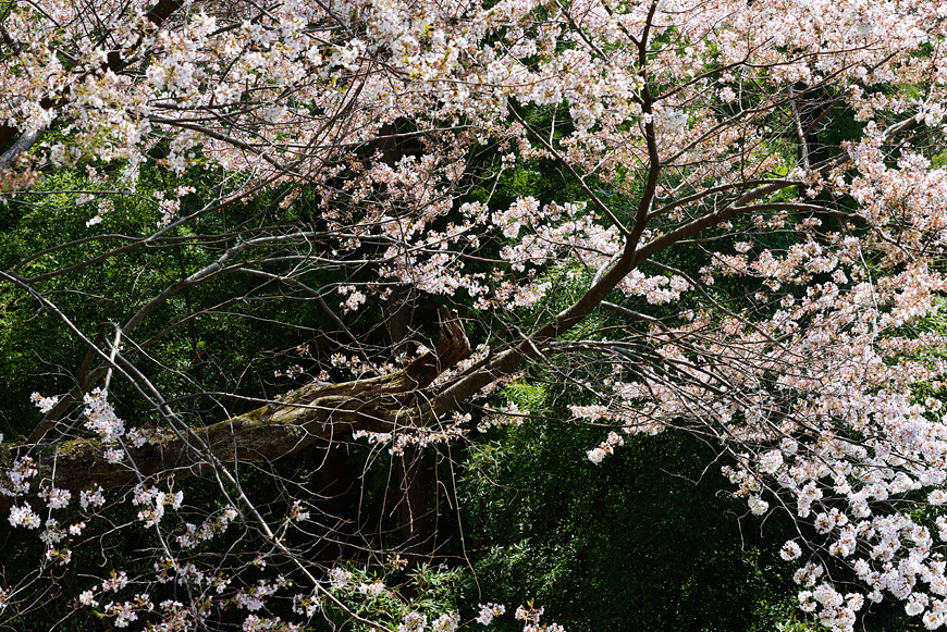 f:id:banriman:20140416140740j:image