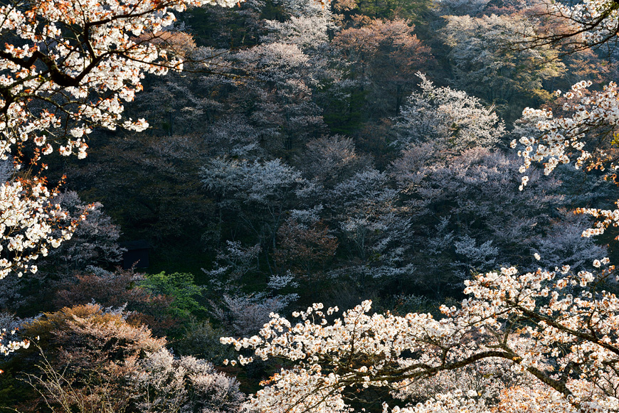 f:id:banriman:20140416140741j:image
