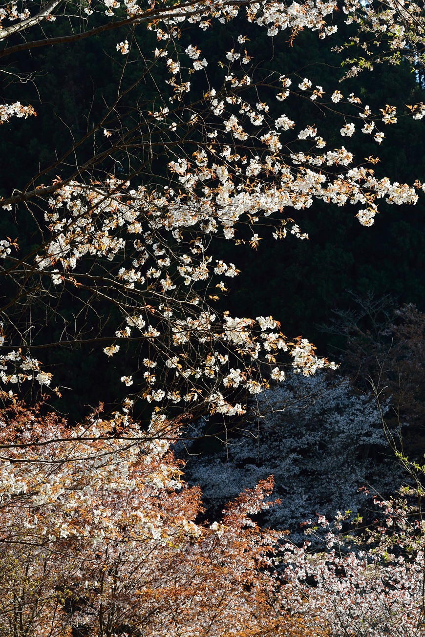 f:id:banriman:20140416140743j:image