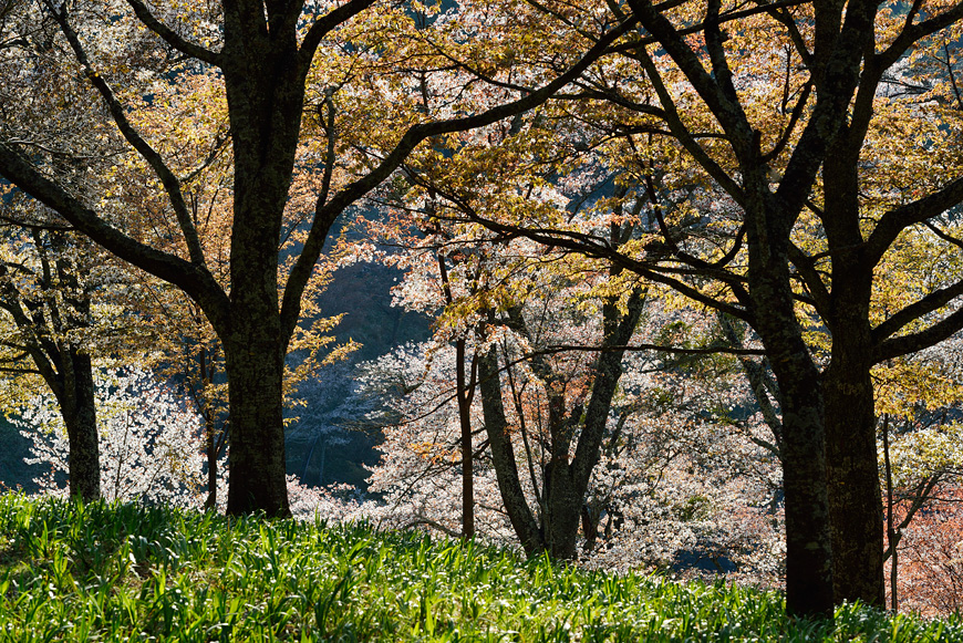 f:id:banriman:20140416140744j:image