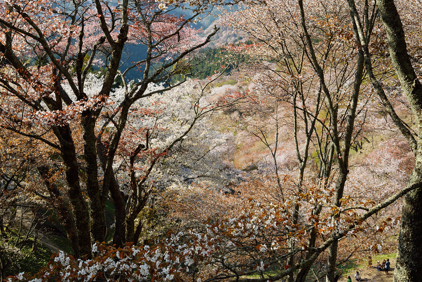 f:id:banriman:20140416140745j:image