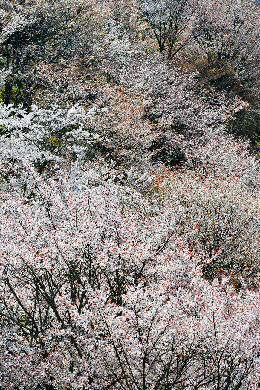f:id:banriman:20140416140746j:image