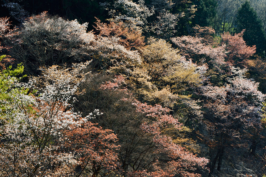 f:id:banriman:20140416140747j:image